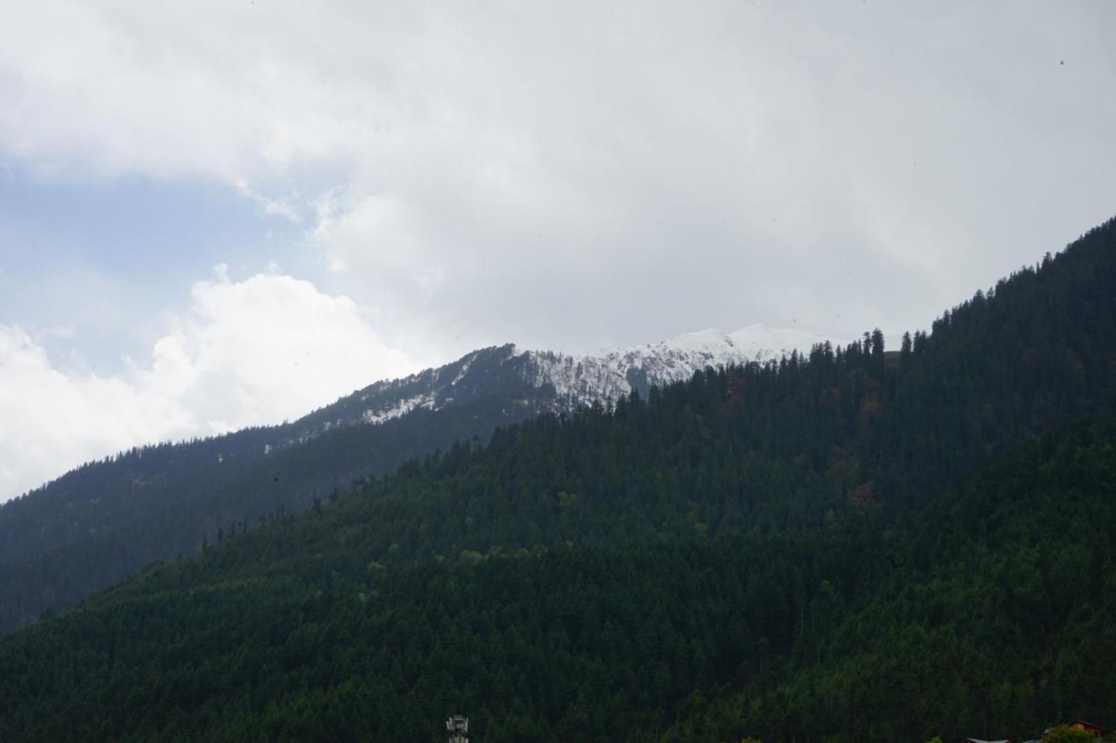 Hotel Magnolia Mallroad Manali Экстерьер фото